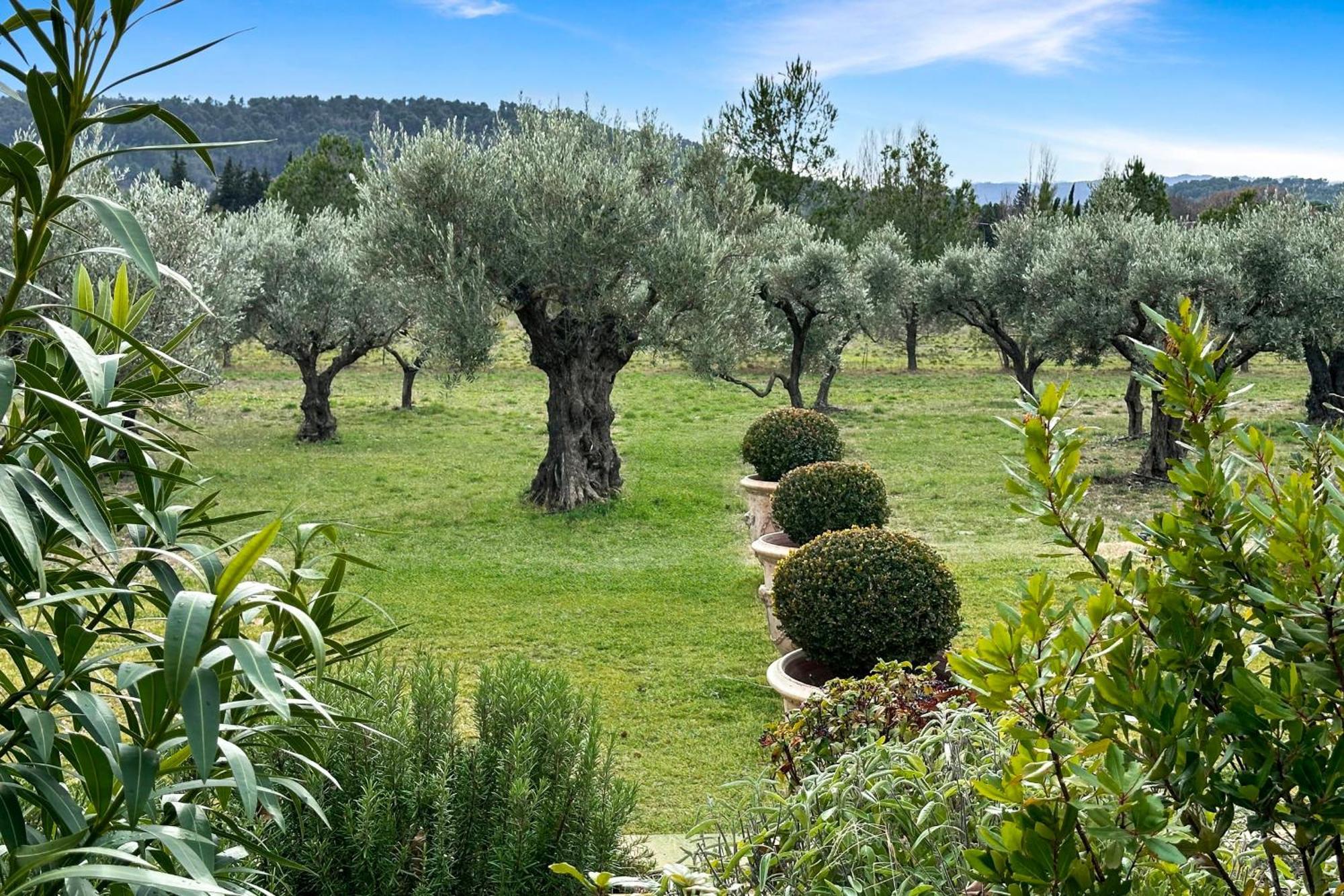 Appartement I Bastide La Graviere I Electio Lourmarin Dış mekan fotoğraf